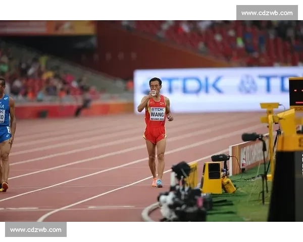 从八百米比赛视频看速度耐力战术与终点冲刺全解析实战细节教学