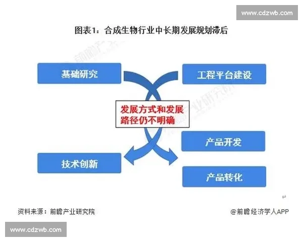 以魔方比赛规则为核心的公平竞技与规范发展研究体系构建分析路径