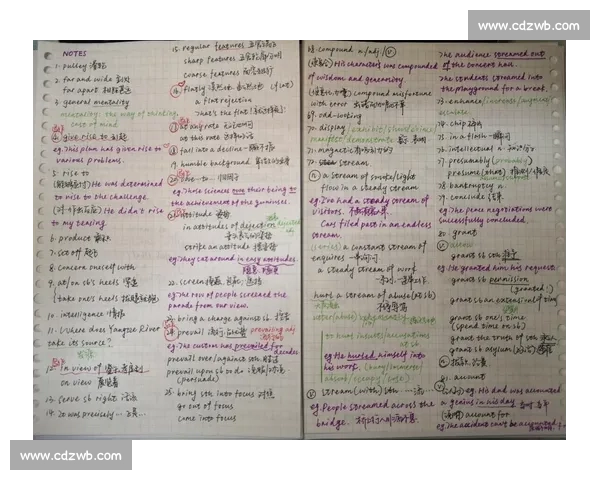 以观看比赛的英文表达为核心的实用学习与观赛指南全面解析精彩瞬间