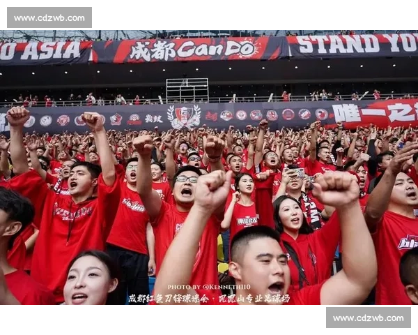 重温经典足球比赛视频唤醒绿茵场的荣耀与激情瞬间历史记忆与传奇对决 重温经典足球比赛视频唤醒绿茵场的荣耀与激情瞬间历史记忆与传奇对决