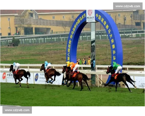 成都马术赛事引领城市活力展现体育文化与国际交流新风貌发展蓝图