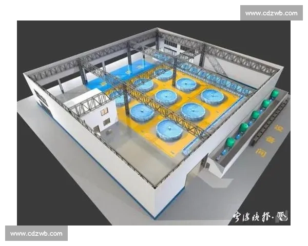 以比赛vn为核心打造多元竞技交流与创新发展新格局生态体系建设